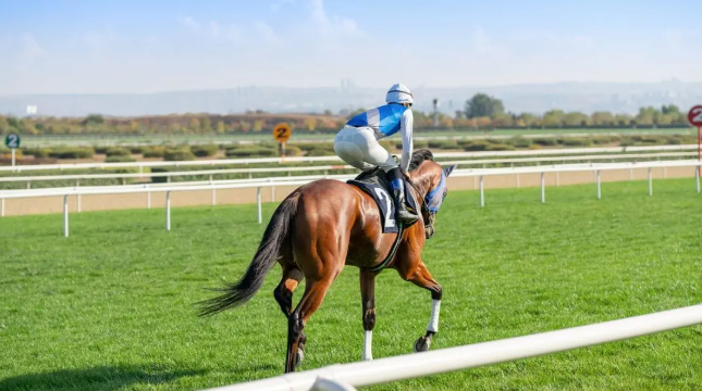 Racing Surfaces Explained: Turf, Dirt & Synthetic