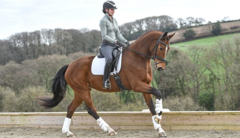 Racing-Themed Family Activities